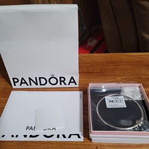 Pandora Celestial Heart Clasp Bangle